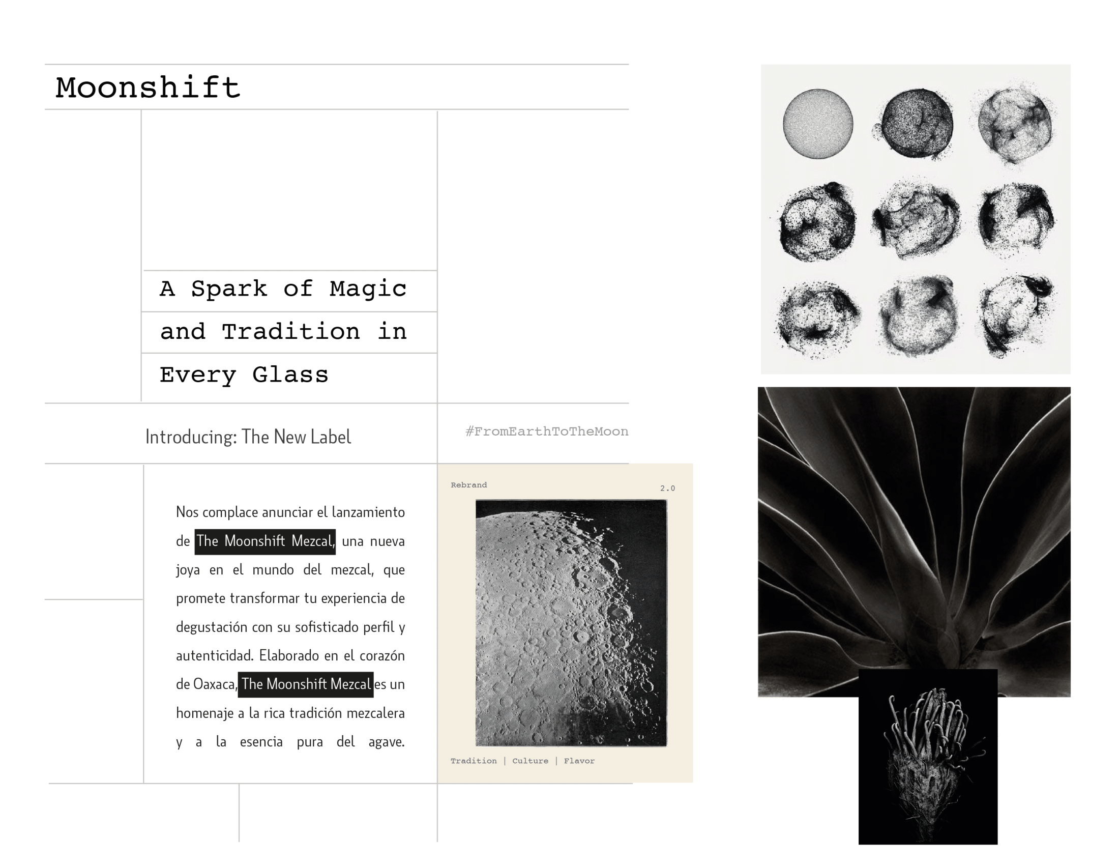 The Moonshift — brand system