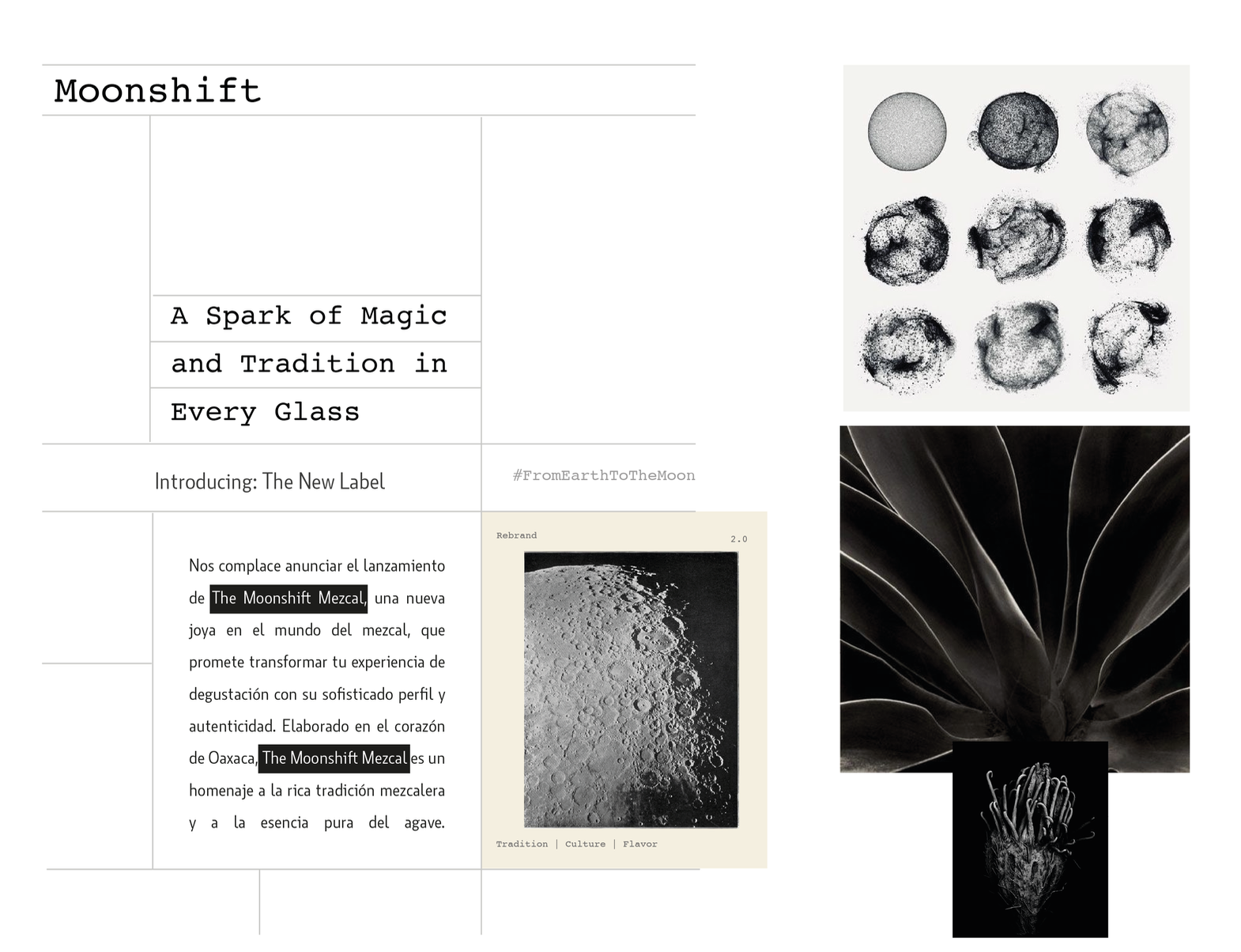 Website Design