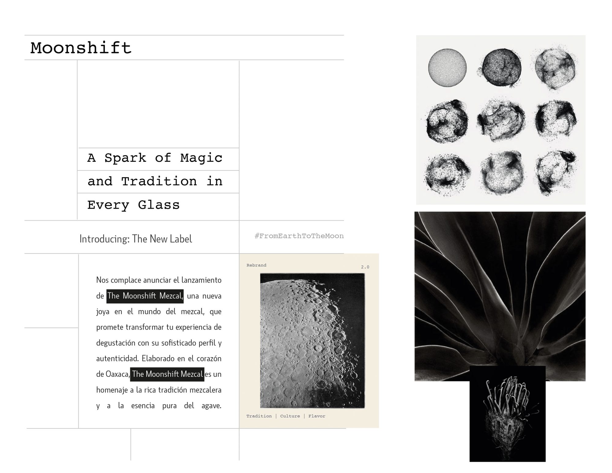 The Moonshift — brand system