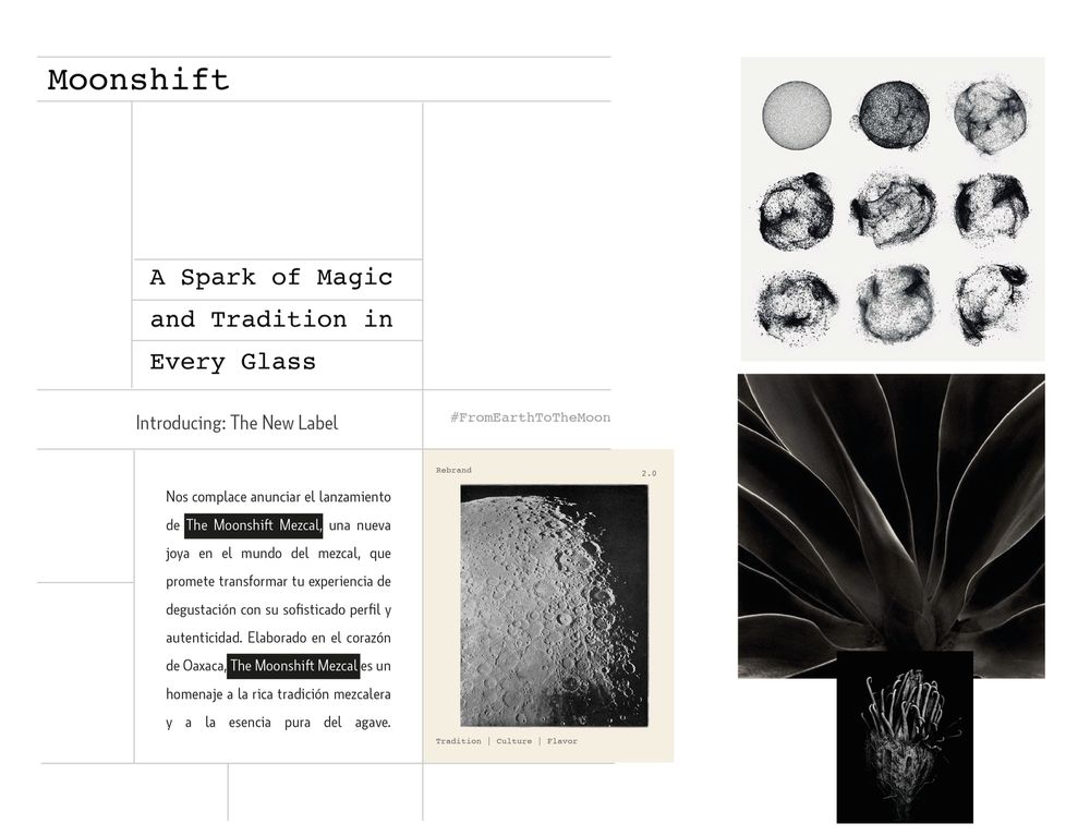 Website Design